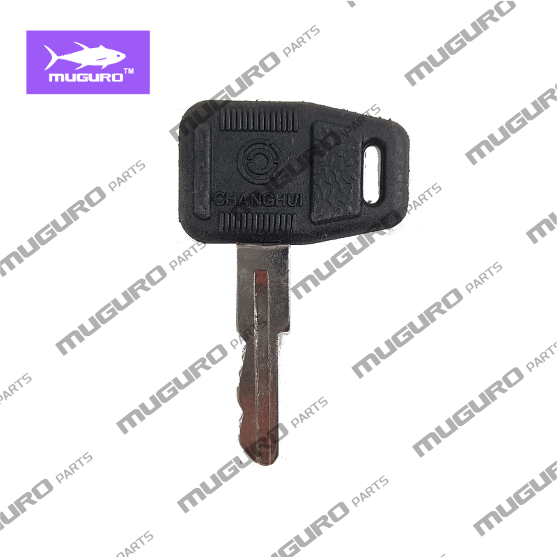 SP115882 Ignition Key for Liug - Heavy Equipment Keys recension och pris