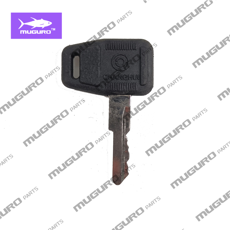 SP115882 Ignition Key for Liug - Heavy Equipment Keys recension och pris