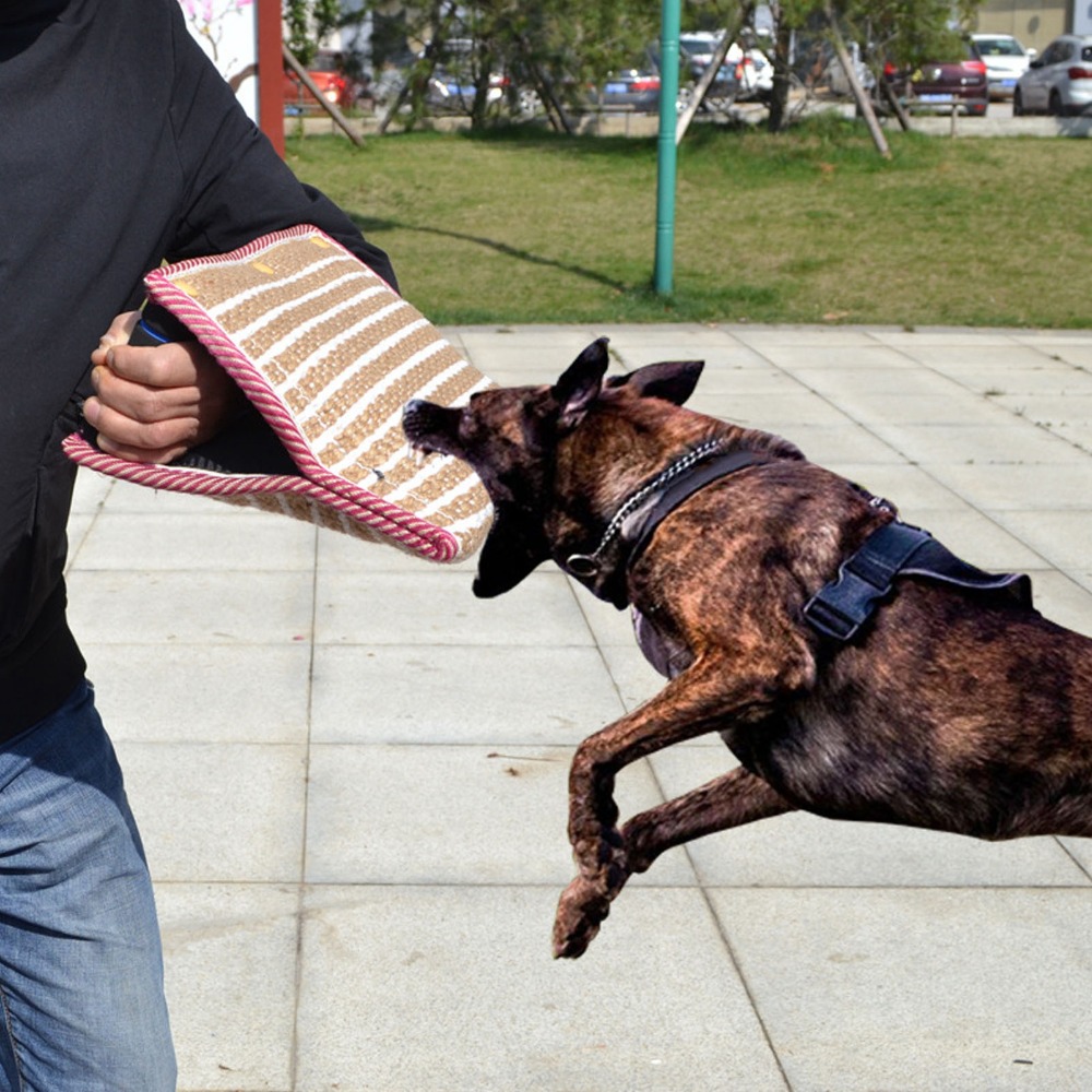 Rough Woven Fabric Dog Bite Pi - Heavy Equipment Cat recension och pris
